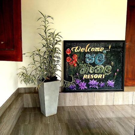 Salmanel Resort Ratnapura Luaran gambar